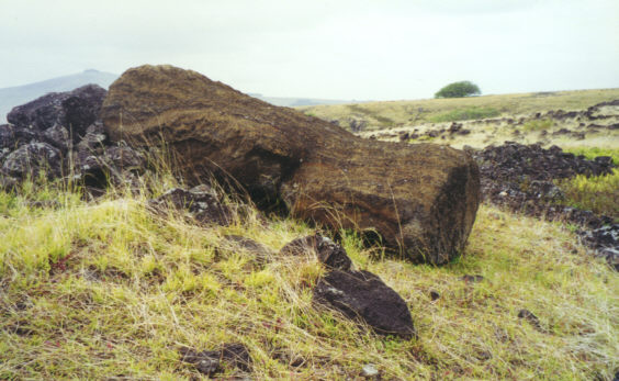 An ahu and small moai in the survey area
