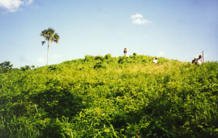 A large buried structure