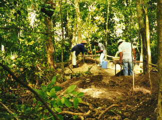 Screening for finds