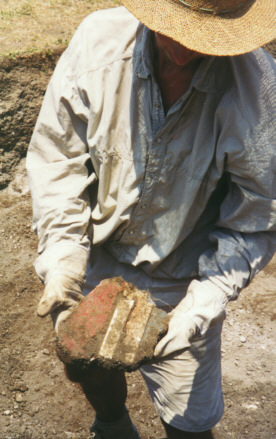 A piece of decorated plaster, fresh from the ground.