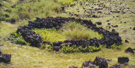 A manavai or protected garden