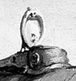 Aft hatch - detail from Chapman