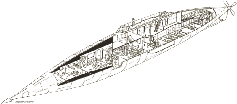 Ron Miller's Nautilus - Copyright Ron Miller