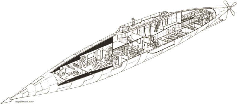 The Internal Layout Of The Nautilus