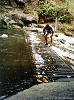 A diversion grate collects most of the stream flow.