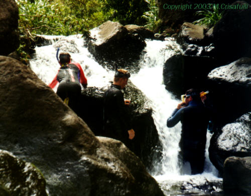 Morgan, Brad, and Gary in the stream.