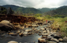 Waihee Stream